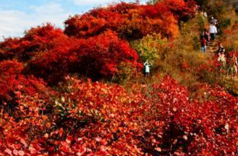 八達(dá)嶺森林公園紅葉嶺景區(qū)