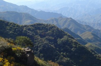 陽臺山