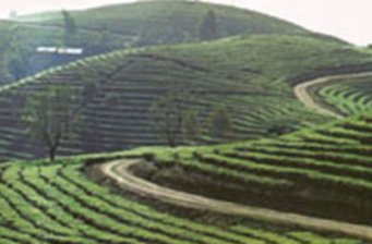 法城自然生態風景區