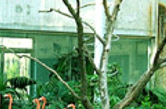 北旭野生動物園