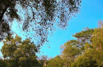 紫竹院公園