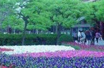 錦繡大地農(nóng)業(yè)觀光園區(qū)
