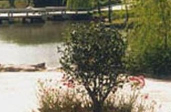 漕河涇開發(fā)區(qū)公園