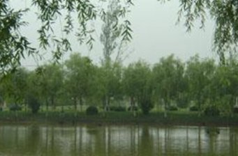 申隆生態(tài)園
