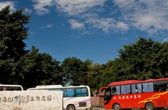 峨眉山竹葉青生態茗園
