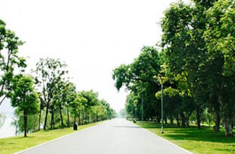 和平公園