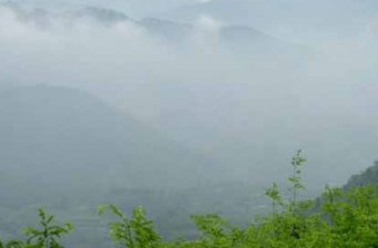 姥山島
