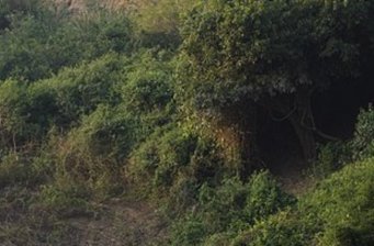 錦江景區