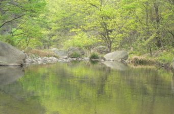 天臺風(fēng)景區(qū)