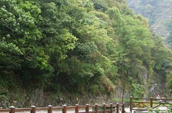 合流露營區(qū)