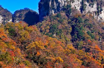 米倉山
