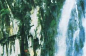 安遠(yuǎn)三百山