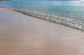 遮浪島