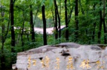 紅壇寺省級(jí)森林公園