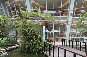 臺(tái)東原生應(yīng)用植物園