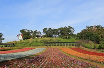 大溪花海農(nóng)場