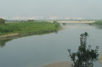 臺西鄉臺西沿海濕地