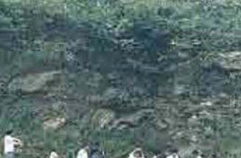 龍?zhí)抖?></a></div>
<div   id=