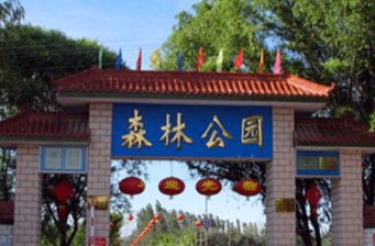 沙灣縣森林公園
