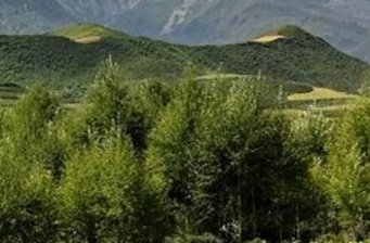 樂都南山