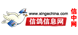 信鴿信息網