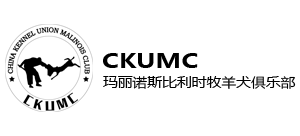 中國瑪麗諾斯比利時牧羊犬俱樂部