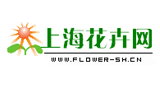 上?；ɑ芫W(wǎng)