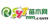 597苗木網