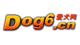 愛犬網