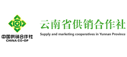 云南供銷電子商務股份有限公司 云南供銷電子商務股份有限公司