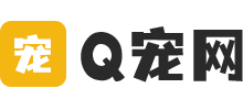 Q寵網