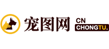 寵圖網