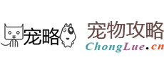 寵略網