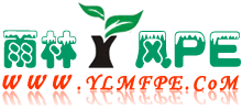 雨林木風pe工具箱