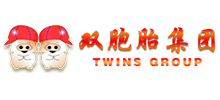 雙胞胎集團