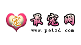 最寵網