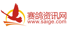 賽鴿資訊網(wǎng)