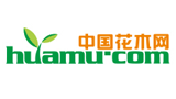 中國花木網