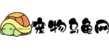 寵物烏龜網