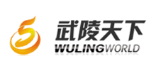 貴州銅仁武陵天下網(wǎng)絡科技有限公司