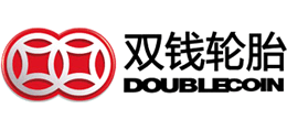 雙錢輪胎集團有限公司