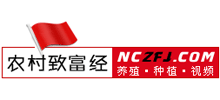 農(nóng)村致富經(jīng)