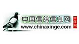 中國信鴿信息網