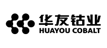 浙江華友鈷業(yè)股份有限公司 浙江華友鈷業(yè)股份有限公司