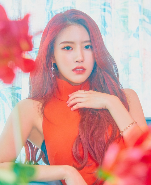 李美珠 李美珠