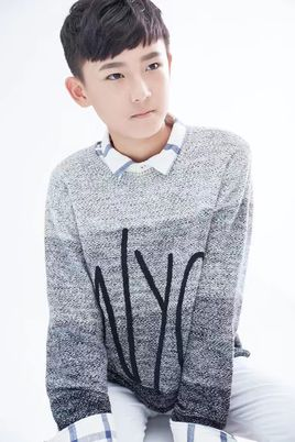 胡洪宇 胡洪宇