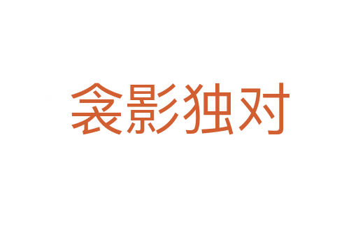 衾影獨(dú)對