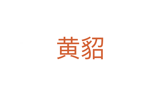黃貂