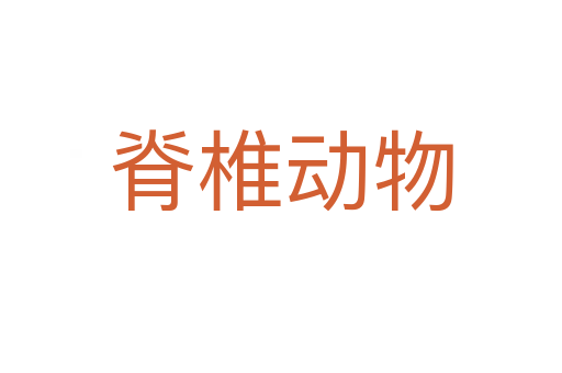脊椎動(dòng)物