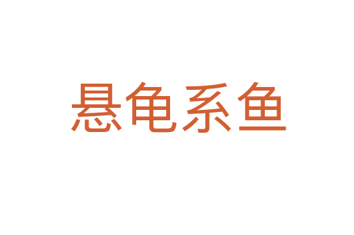 懸龜系魚(yú)